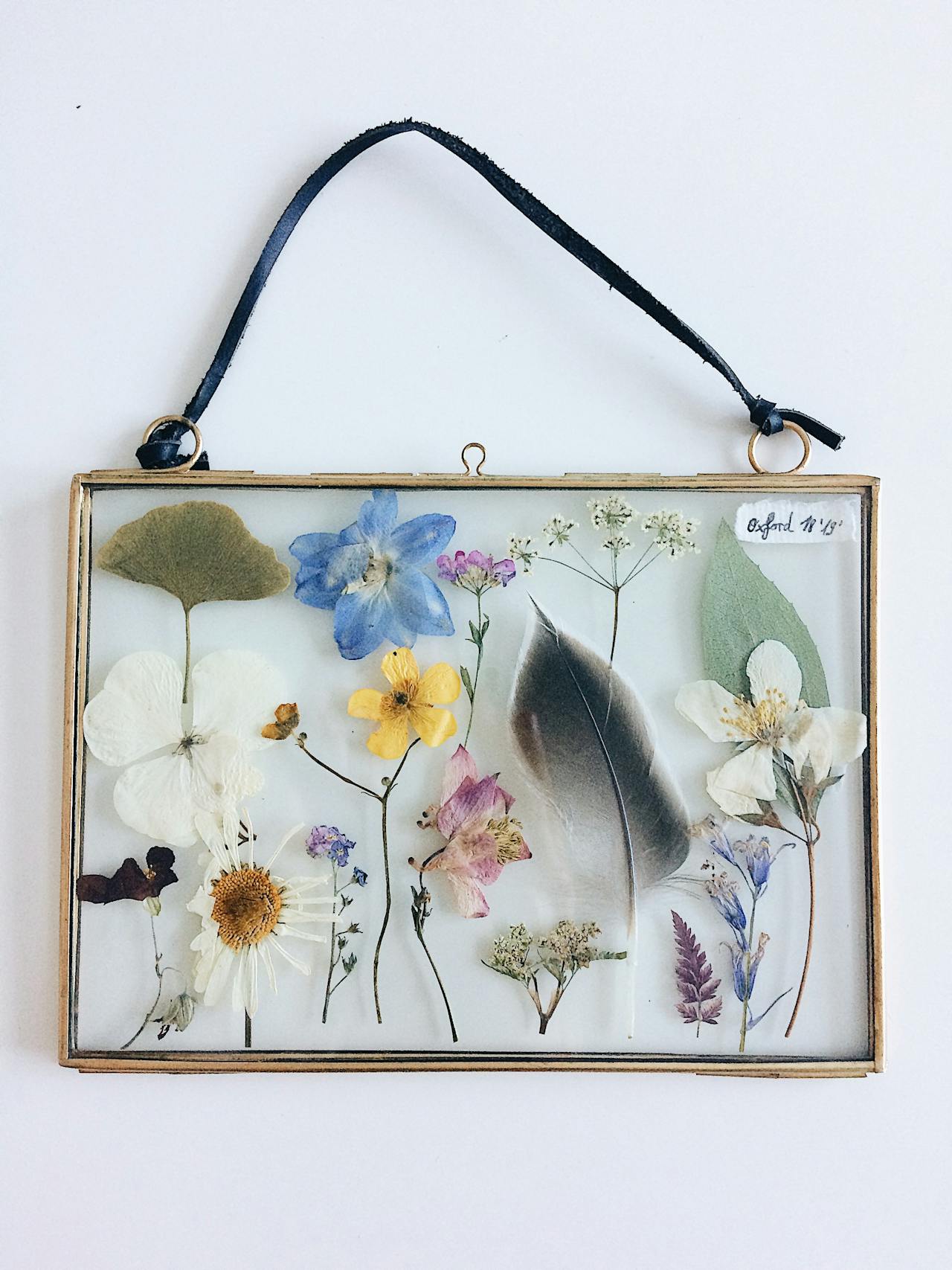 Special Occasion Gifts